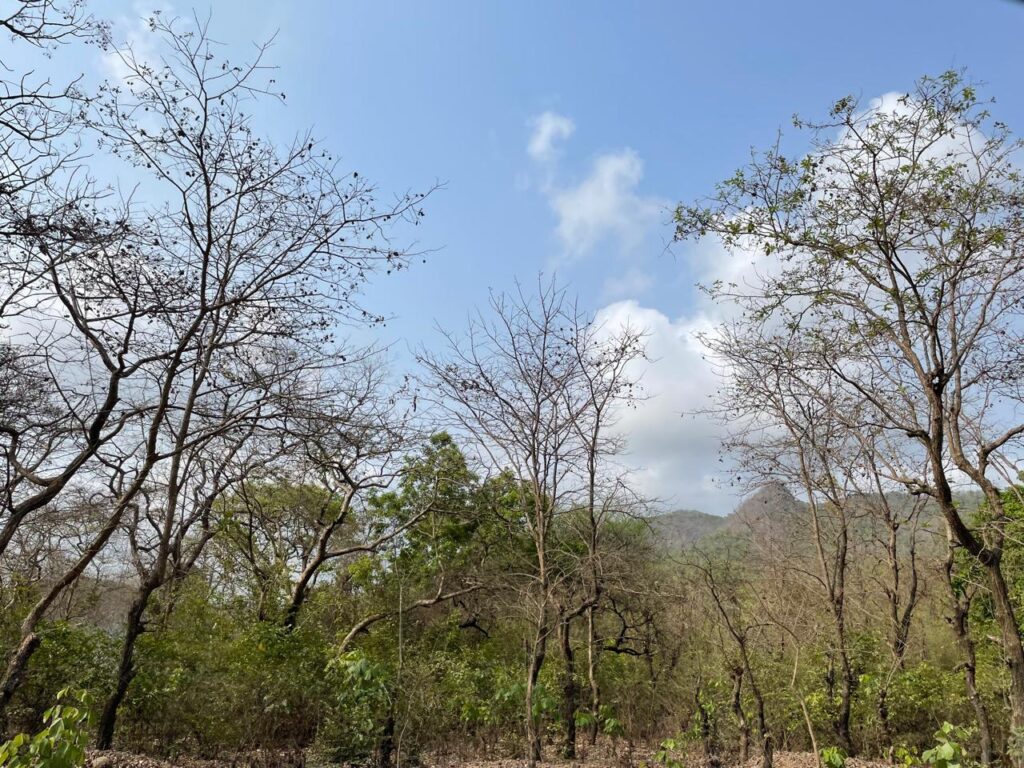 Gowardhan Mini Vrindavan, Palghar_SKP