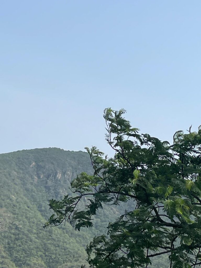 Mountain with Trees at Tirupati_SKP