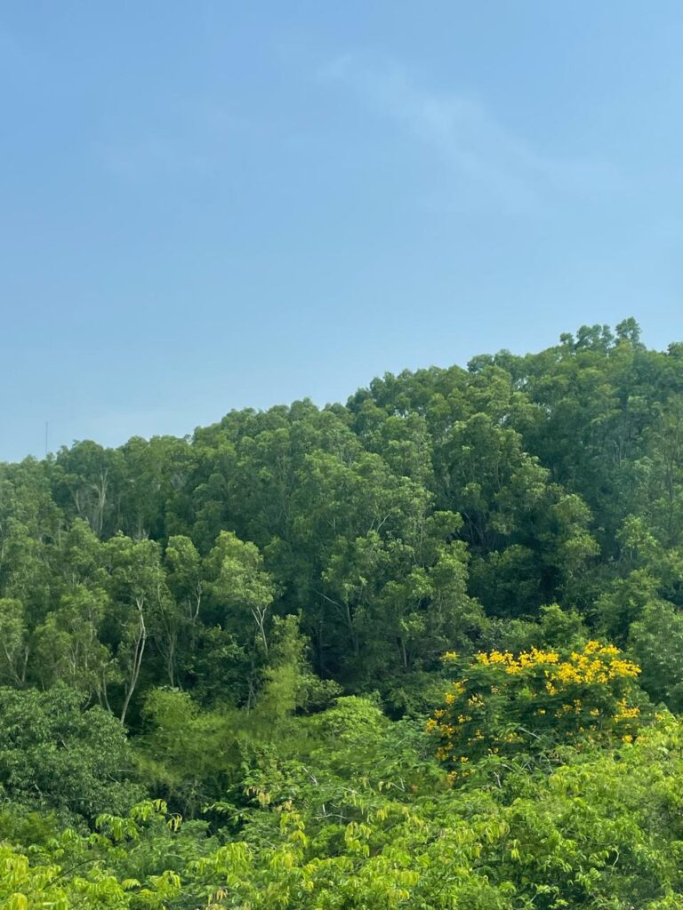 Nature at Tirumala_SKP