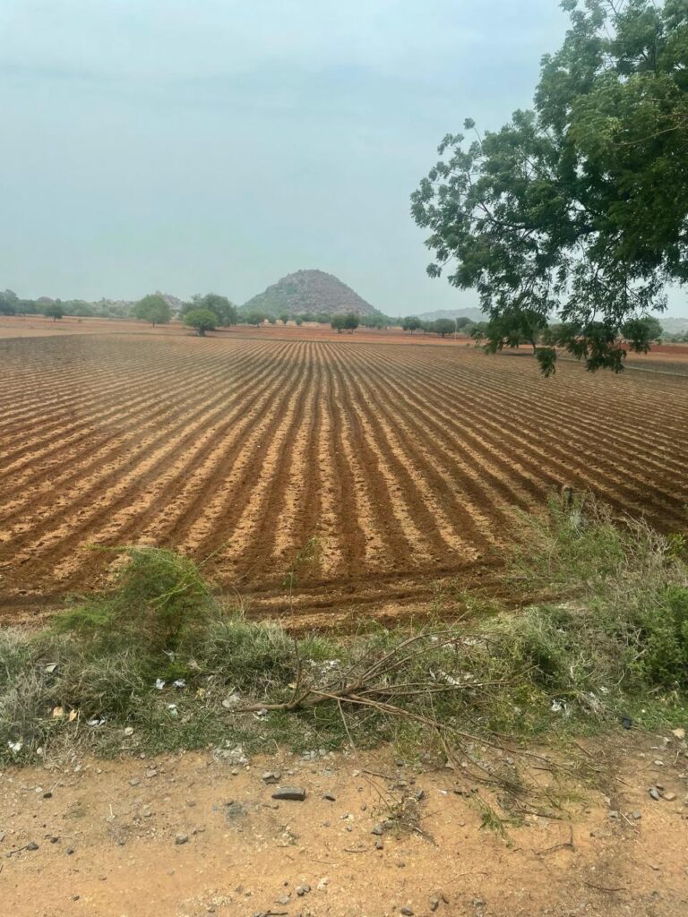 Nature at Tirupati_SKP