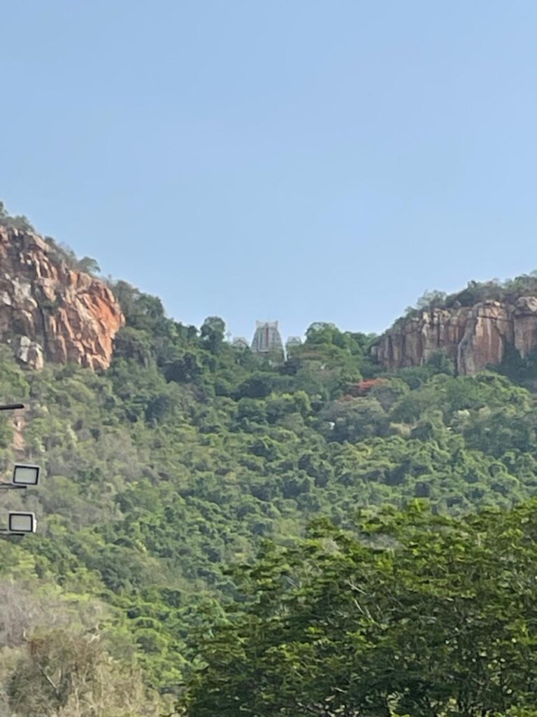 Temple View at Tirupati_SKP