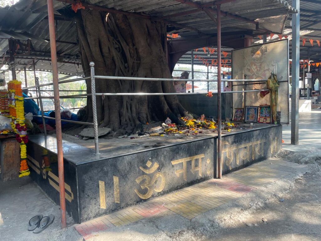 SKP Tree at Khidkali Mandir